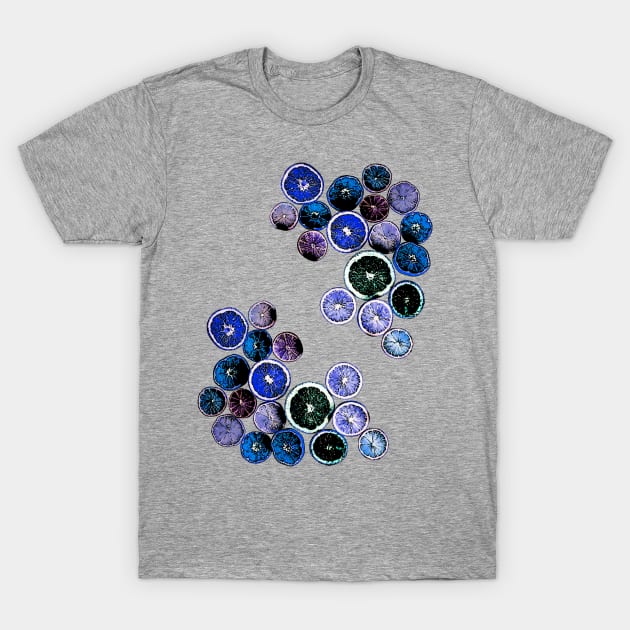 Dark Blue Fruit Slices T-Shirt by JimT